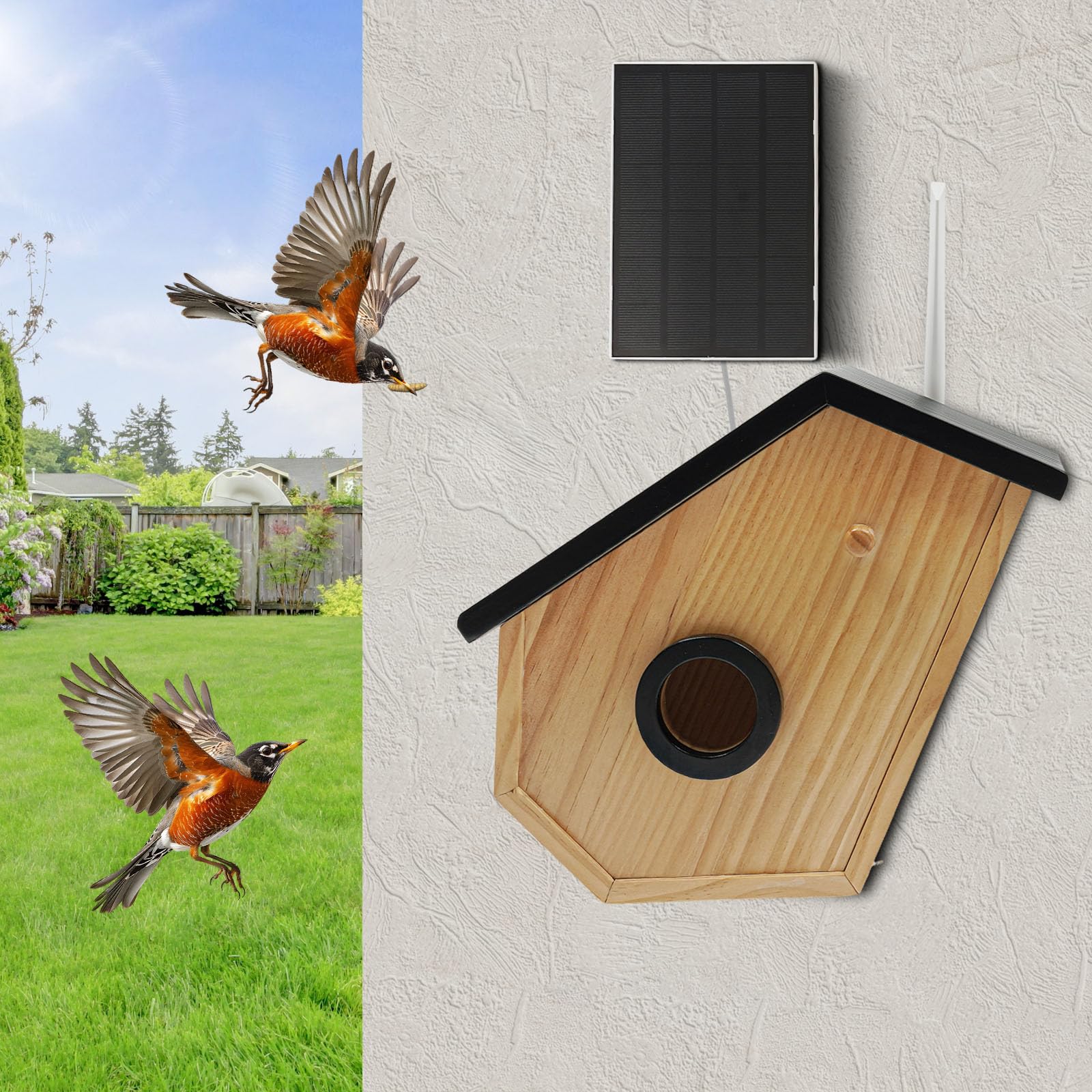 Casetta per uccelli con fotocamera e pannello solare, nidificatore con rilevamento di uccelli KI, IP65 resistente alle intemperie, visione notturna HD, batteria da 4400 mAh, per giardino, balcone