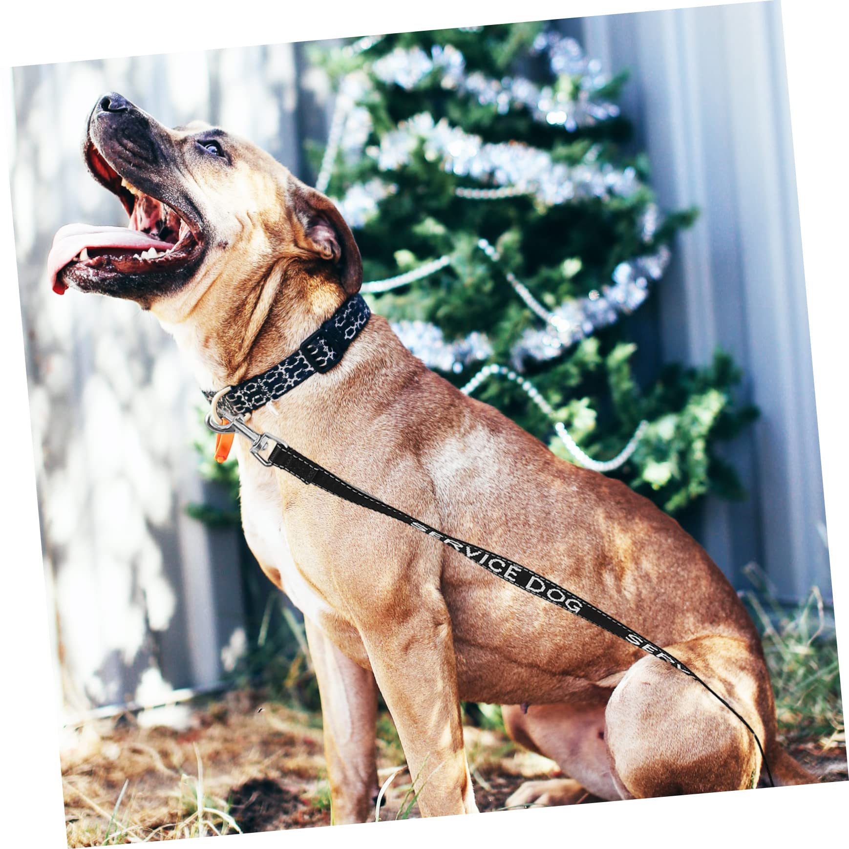 BESPORTBLE 5piezas Correa De Perro Portable Arnés Multi-Funcional Ligero Suministros para Cachorros para Paseos Al Aire