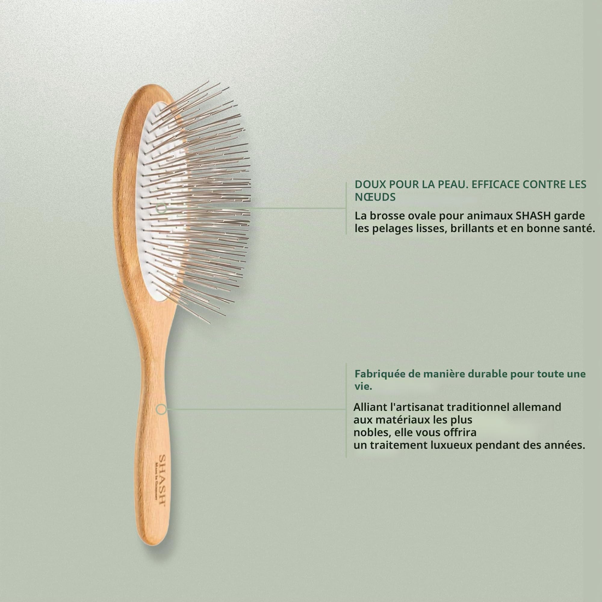 Brosse ovale pour animal domestique avec longues épingles