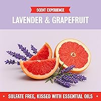 Vista 4 de Rebel Green Hojas de detergente para ropa pequeñas pero poderosas, solución de lavandería cero residuos, 40 hojas de lavadora premedidas para 80