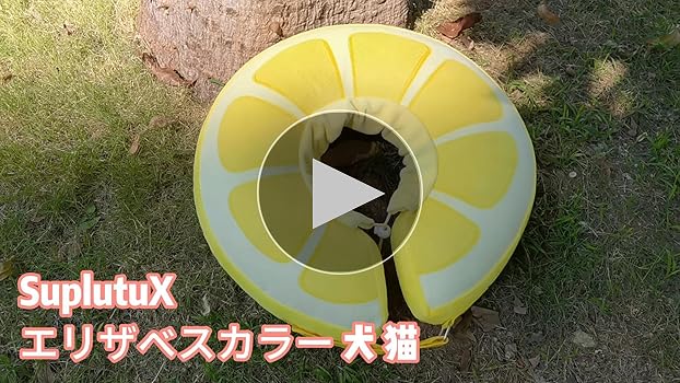 オレンジ　L エリザベスサークル チョーカー インフレータブル ペット用品 オレンジ L エリザベスサークル チョーカー インフレータブル