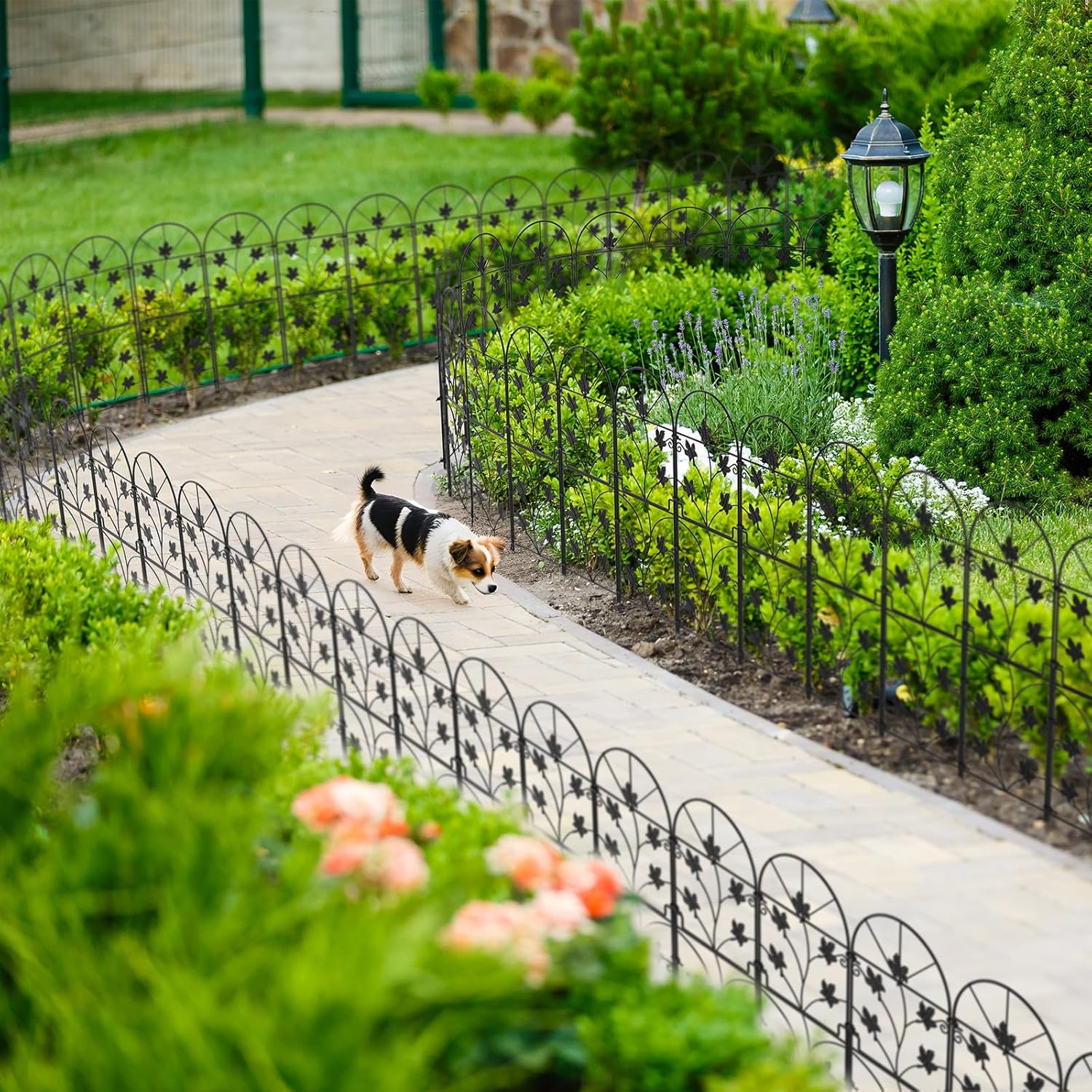 Garden Fencing Tall 10 Pack Animal Barrier No Dig Fence 38in (H) x 10ft (L) Metal Garden Border Fencing for Yard Arched Flower Bed Edging Outdoor
