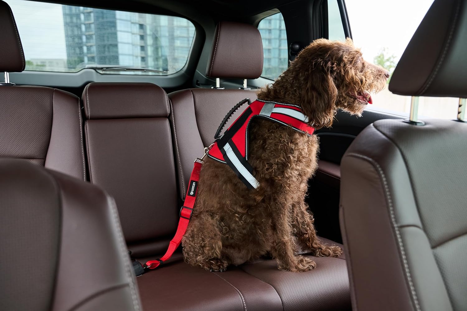 Secure Your Furry Friend: Review of the Support Pets Adjustable Pet Seatbelt