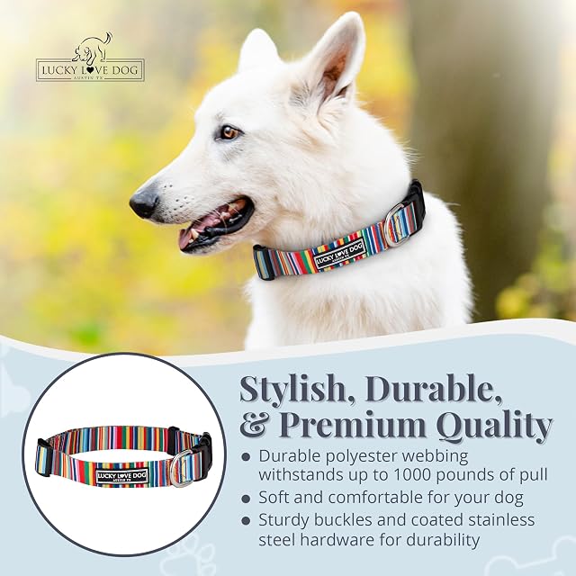 Foto 6 de 8 de Lucky Love Dog Collar, patrones hermosos y vivos, collar de perro arcoíris para perros XL