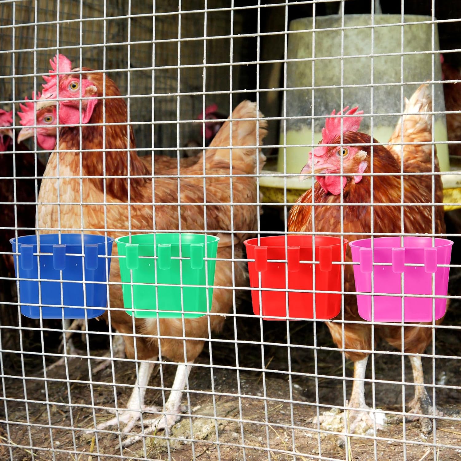 100 Pcs Cage Cups Chicken Feeder Cup 8 oz Hanging Bird Food Water Bowl Coop Bunny Cage Feeding Dish Game Fowl Supply for Poultry Pet Parrot Parakeet Rabbit Parakeet Pigeon(Blue, Red, Rose Red, Green)