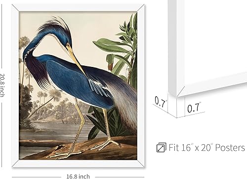 Miniatura 161 de Poster Master Póster vintage de flamenco americano, estampado retro de flamenco rosa, arte de pájaro, regalo para él, ella, amante de los animales,