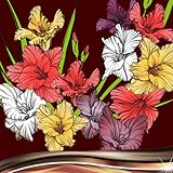 Beende die nächsten Schritte und fühle die Freude mit der Gladiolus Photo Collage: