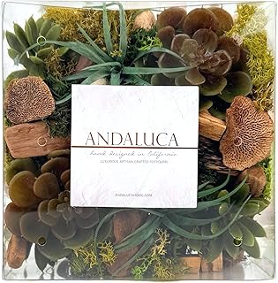 ANDALUCA Maison Box Fragrance Potpourri Decorative Succulent Moss Vase & Bowl Filler Home Décor (Moss Forest)
