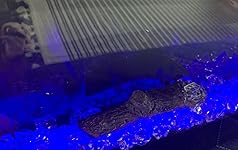 Review Image by jinnyQ jinnyQ