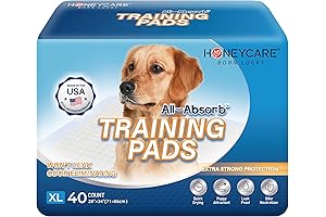 HONEY CARE Training Pads: Say Goodbye to Messy Potty Training