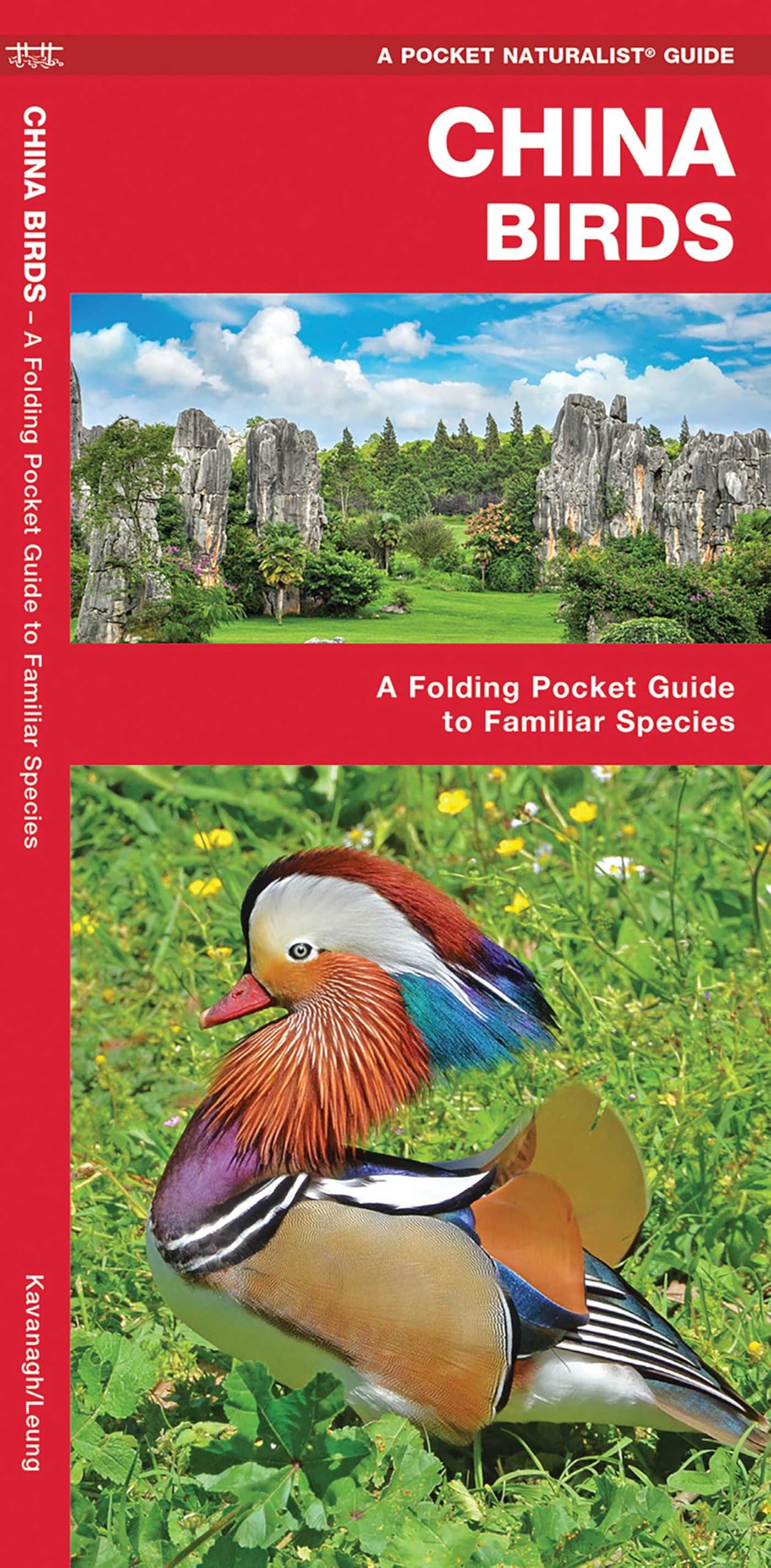 James Kavanagh Unisex Multicolor China Birds Paperback Book