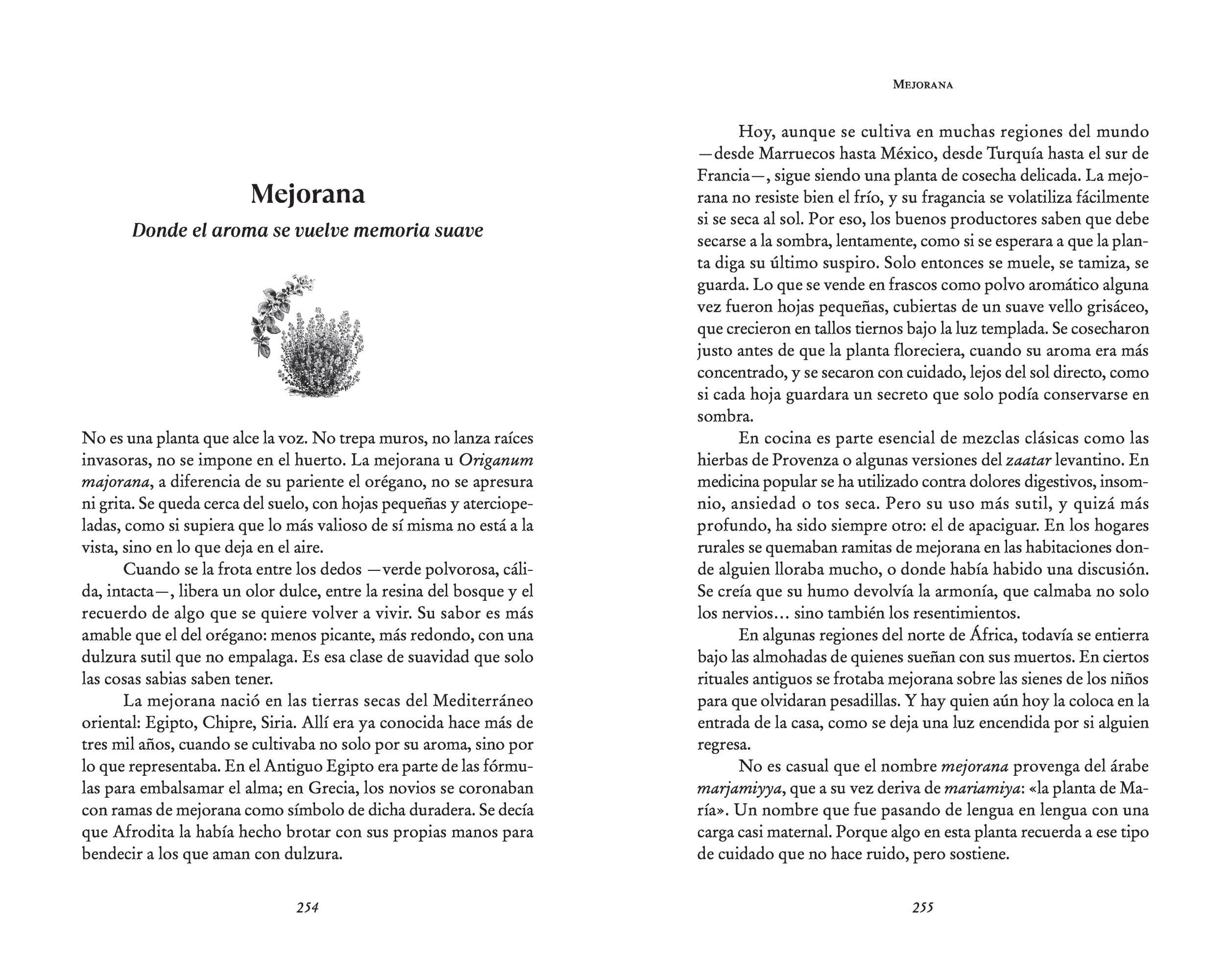 El alma de las especias: Historias, usos y mitos del desconocido mundo de las especias (Divulgación)