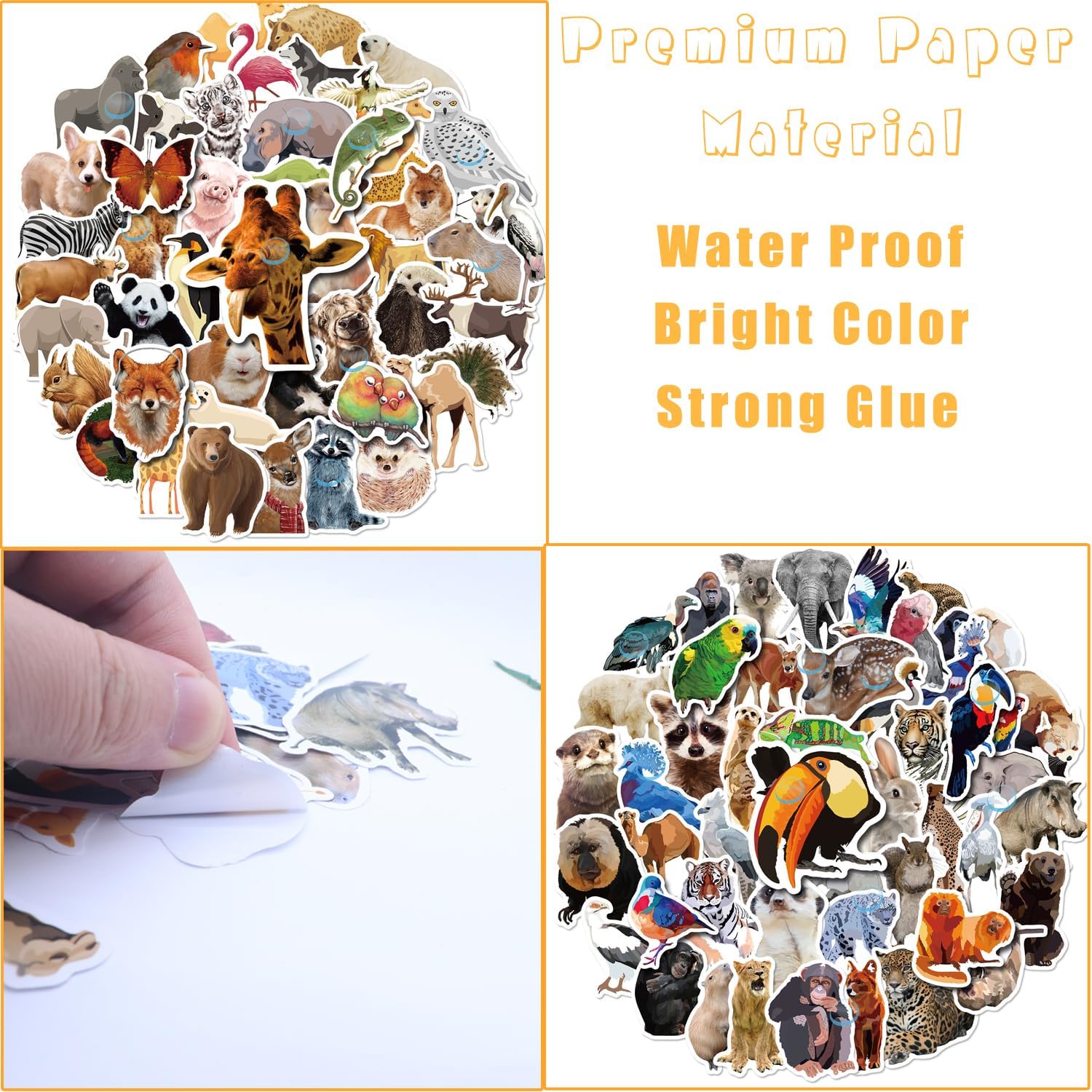 200Pcs Zoo Animal Stickers, Waterproof Self Adhesive Stickers Vinyl Wild Animal Water Bottle Sticker Set for Kids Women Wen image 4
