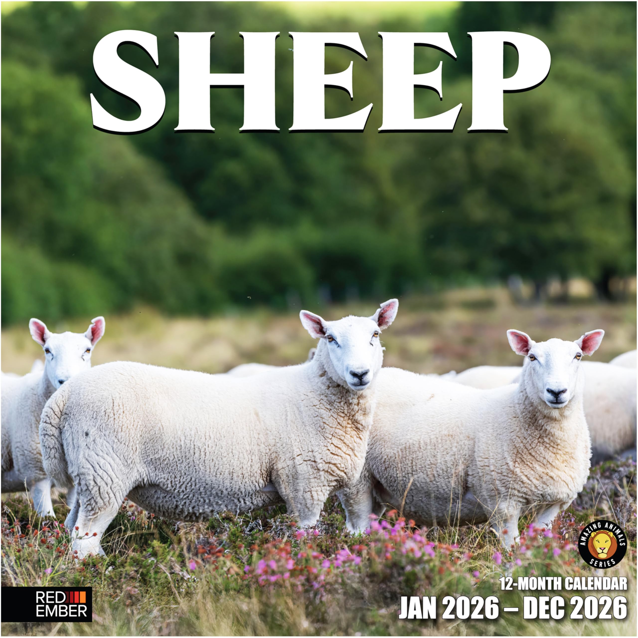 RED EMBER Sheep 2026 Wall Calendar 12 Month | 12" x 24" Open | Thick & Sturdy Paper | Holiday Gift | Farm Animal Calendar 2026