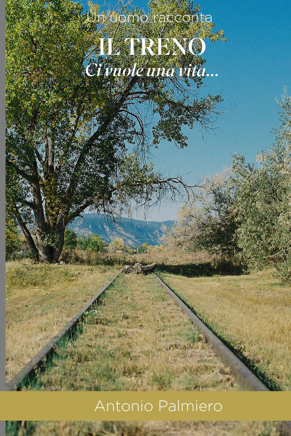 IL TRENO: Ci vuole una vita…