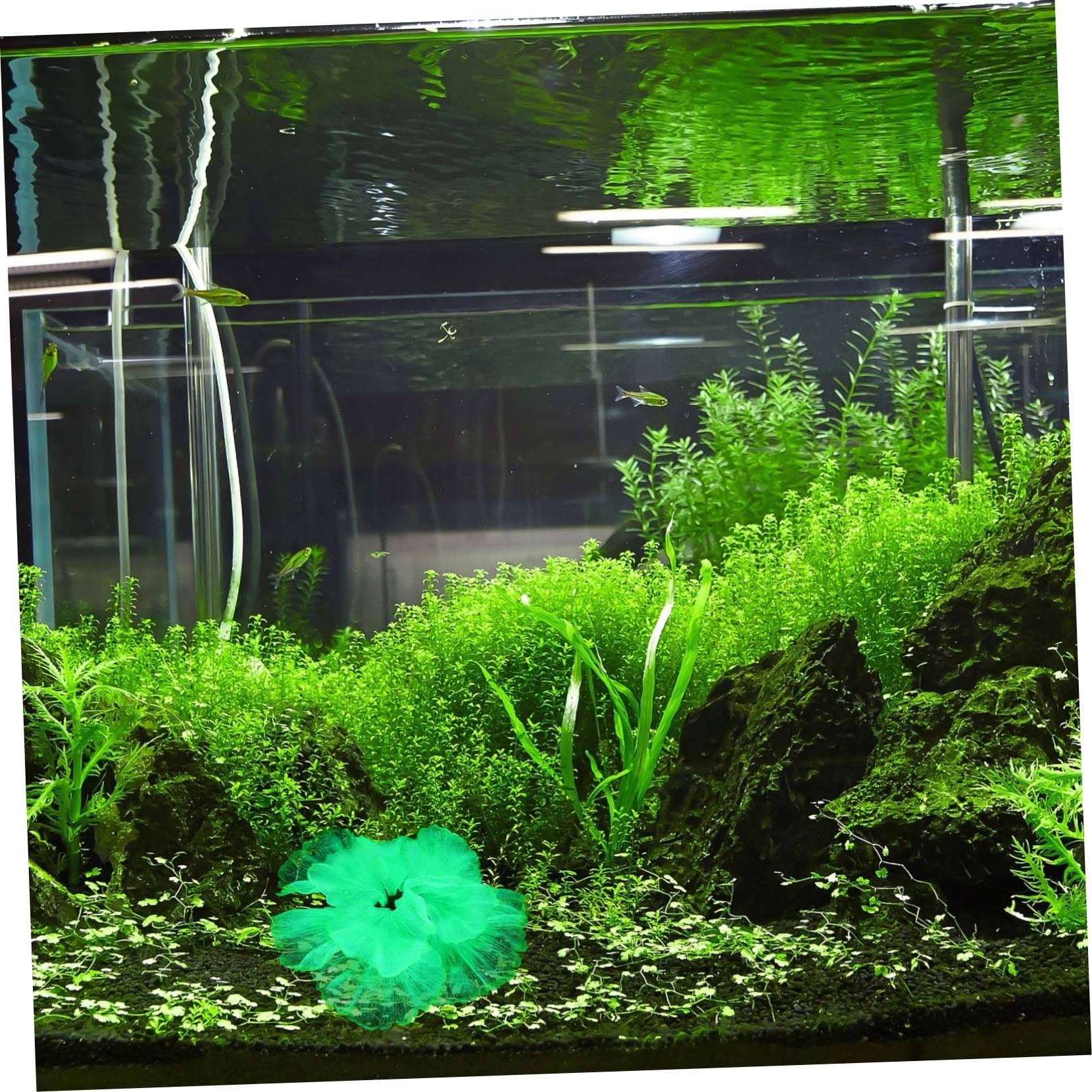 Yardwe 3stücke Künstliche Wasserpflanze Für Aquarium Dekoration Wasserpflanzen-Design Für Fischtanks Langlebige Und Pflegeleichte Aquarienlandschaft Grüne Aquarienpflanze