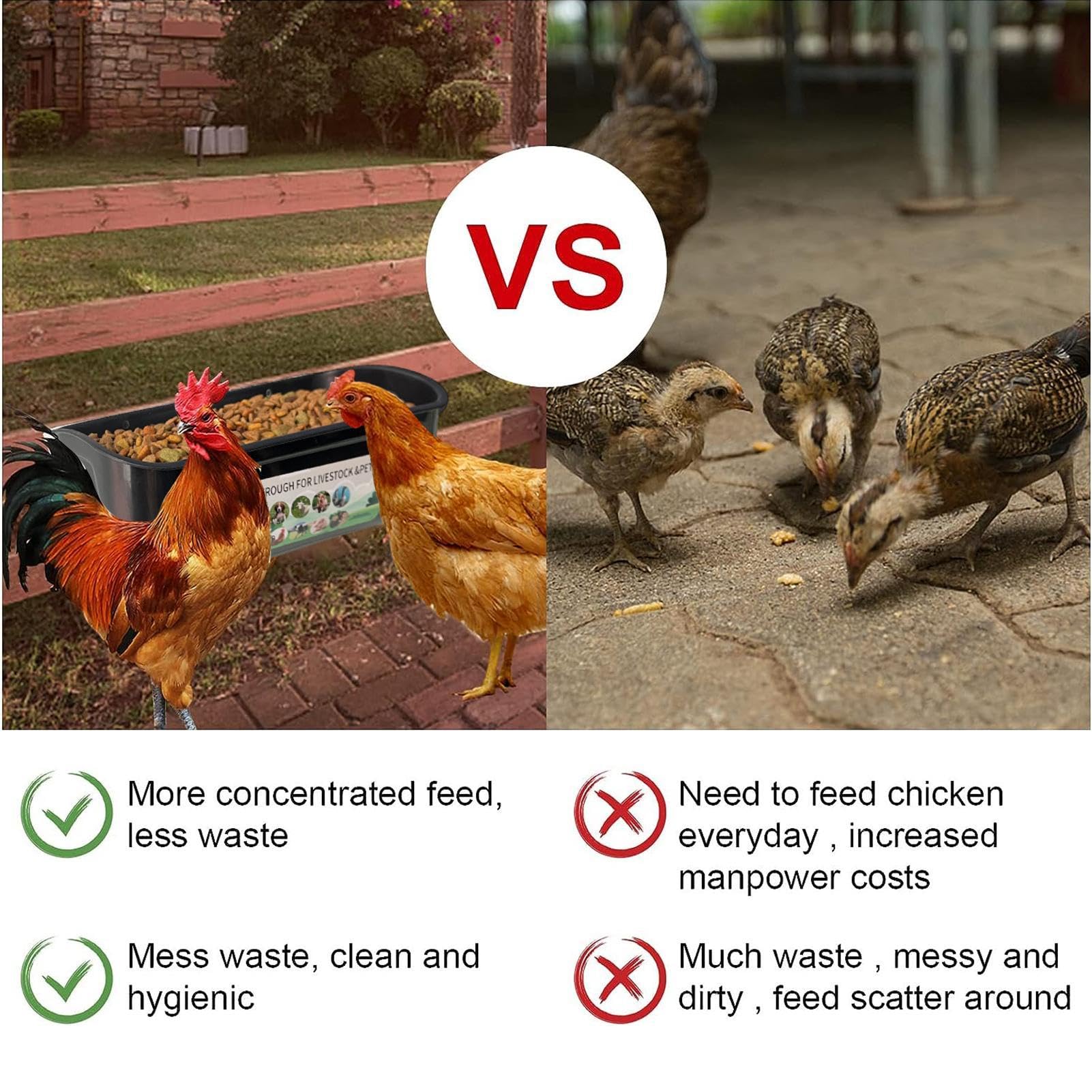 Mangiatoie Per Galline Abbeveratoio Automatico Per Polli, Anatre