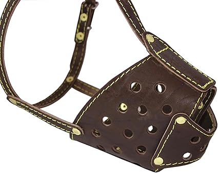 Barbohas dog supplies Clearance