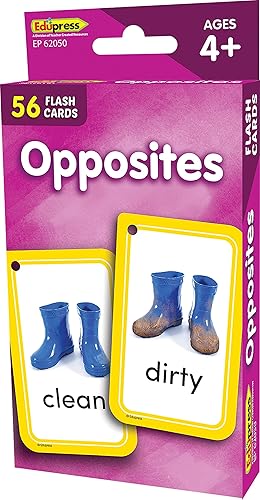 Miniatura 5 de Teacher Created Resources Tarjetas flash opuestos