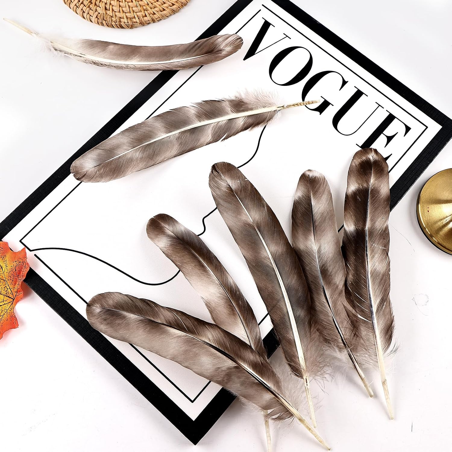 Daieeparty 12pcs Natural Grey Reed Chicken Feathers Bulk 6-8 inch