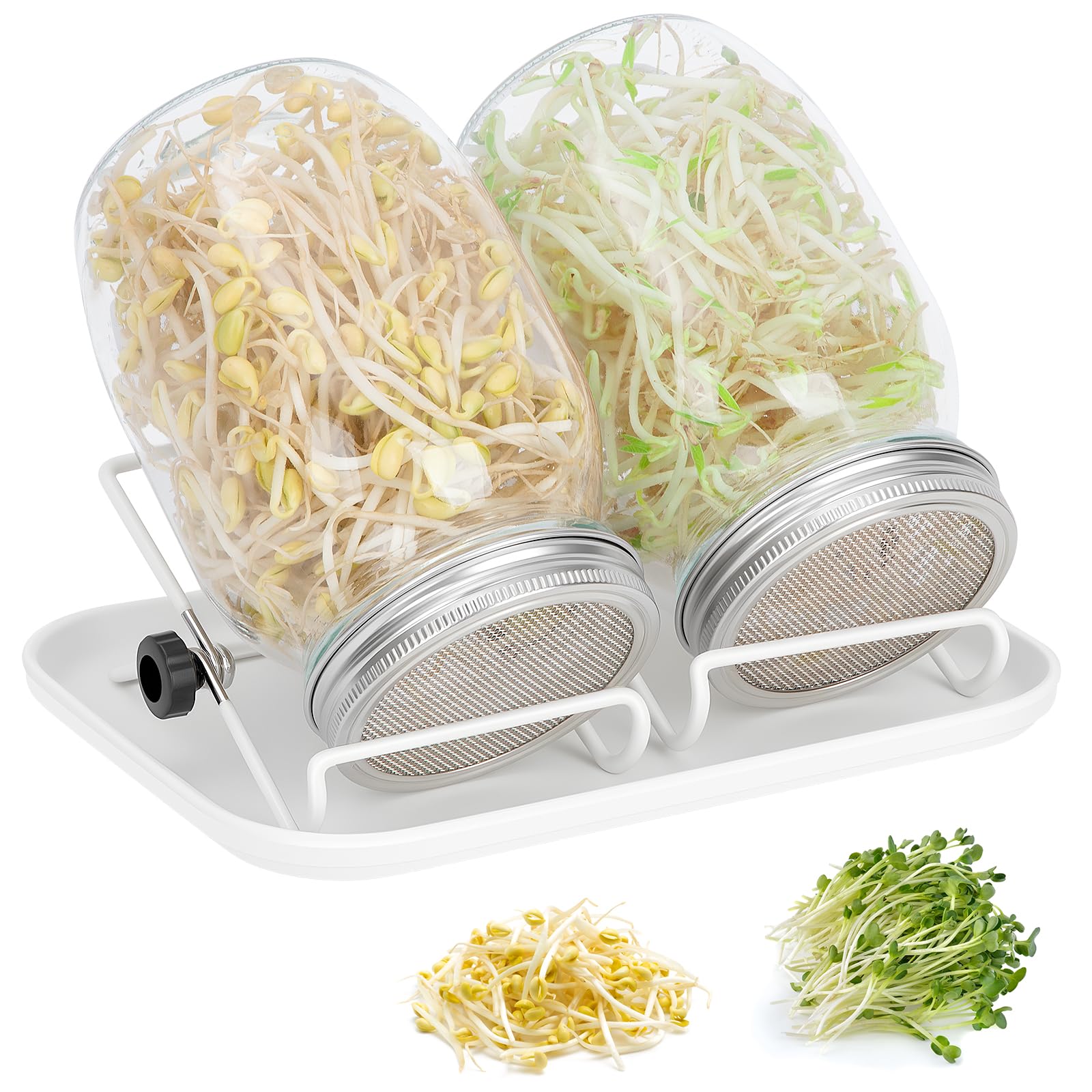 Germoir pour Graines à Germer en Verre, 2 x 1000ml Bocal de Germination avec Couvercle en Acier Inoxydable, Support Réglable et Plateau Blanc, pour Lentilles, Alfalfa, Haricots Mungo