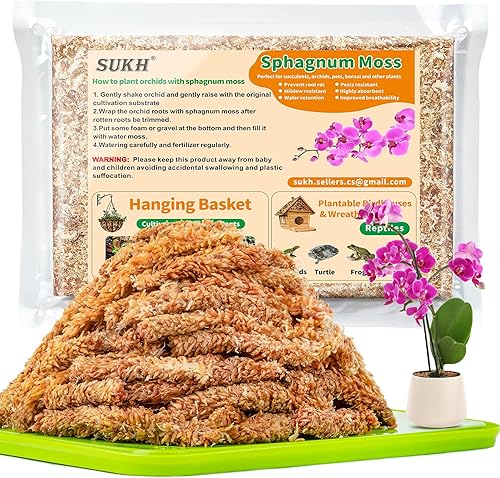 Sukh Musgo de esfagnum para plantas de 10 onzas Sphagnum Turba Musgo Natural Premium Premium Larga Fibra Chile Secado Musgo Mezcla para macetas Sukh Musgo de esfagnum para plantas de 10 onzas Sphagnum Turba Musgo Natural Premium Premium Larga Fibra Chile Secado Musgo Mezcla para macetas
