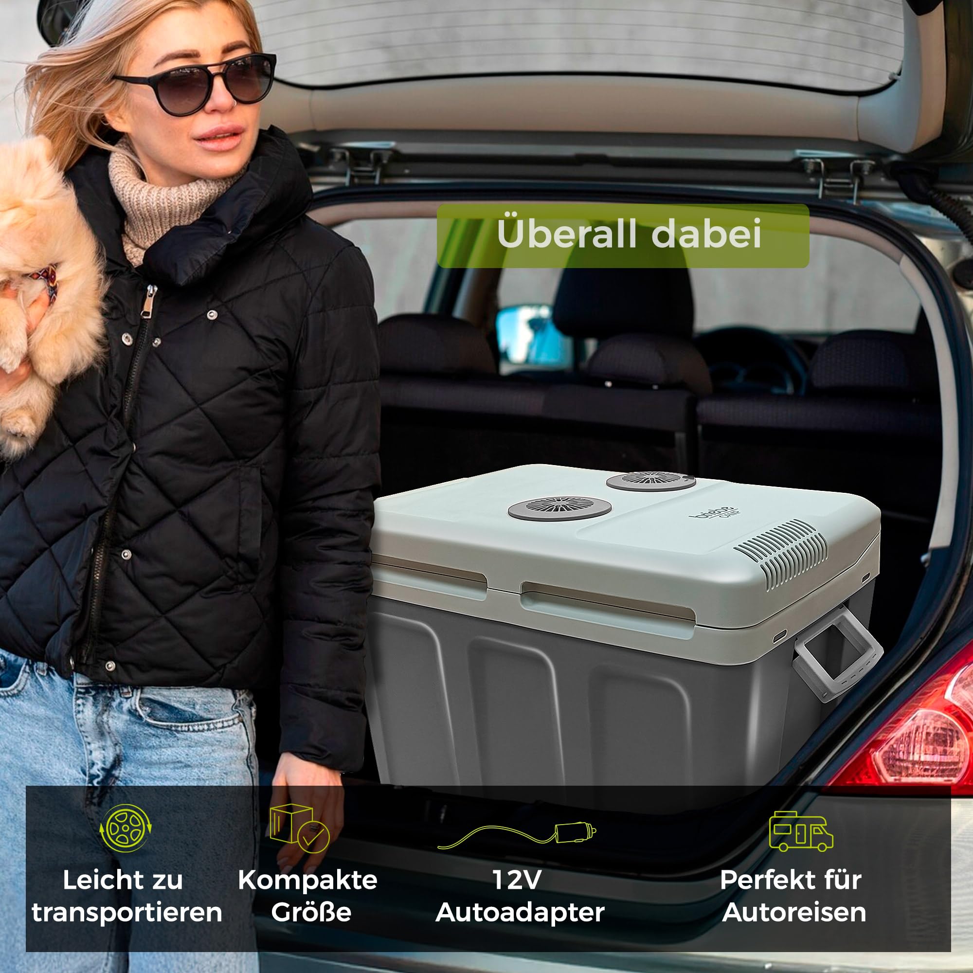 briebe Tragbare Elektrische Kühlbox für Reise, Auto, Camping, 12 V/220 V, Fassungsvermögen 40 L, Räder, Kühlung, Hält Warm, Energiesparend (Grau)