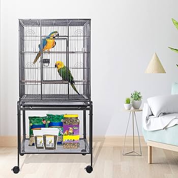 Amazon.com : HSM 53 Inch Wrought Iron Large Bird Flight Cage