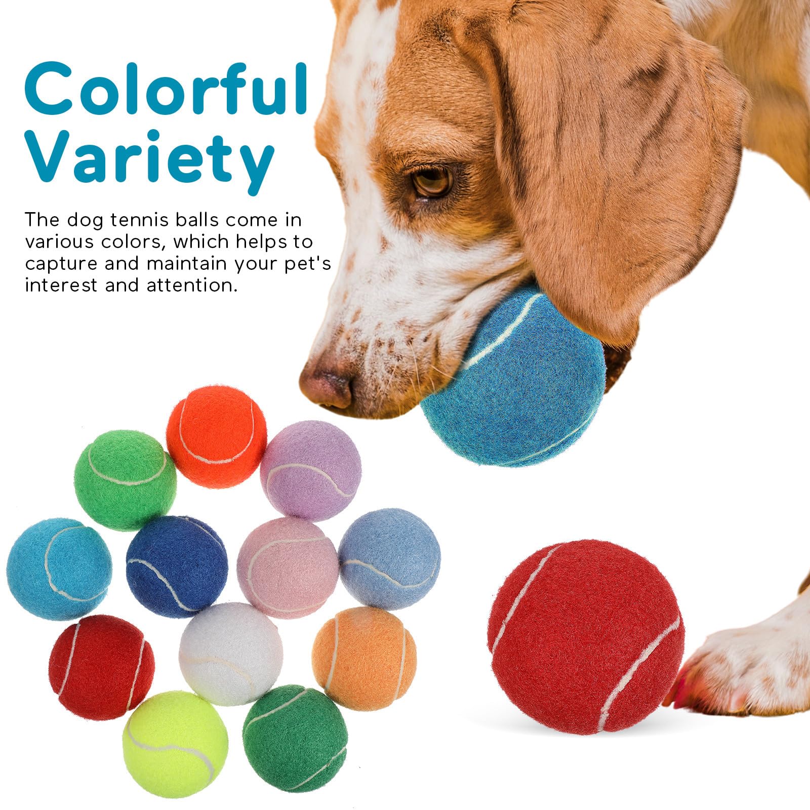 Toyvian 12stücke Teiliges Hundespielzeug Tennisbälle aus Robustem Gummi mit Glatter Oberfläche Sicher für Kleine Hunde und Welpen Inklusive Praktischem Netzbeutel für Zufällige Farbe