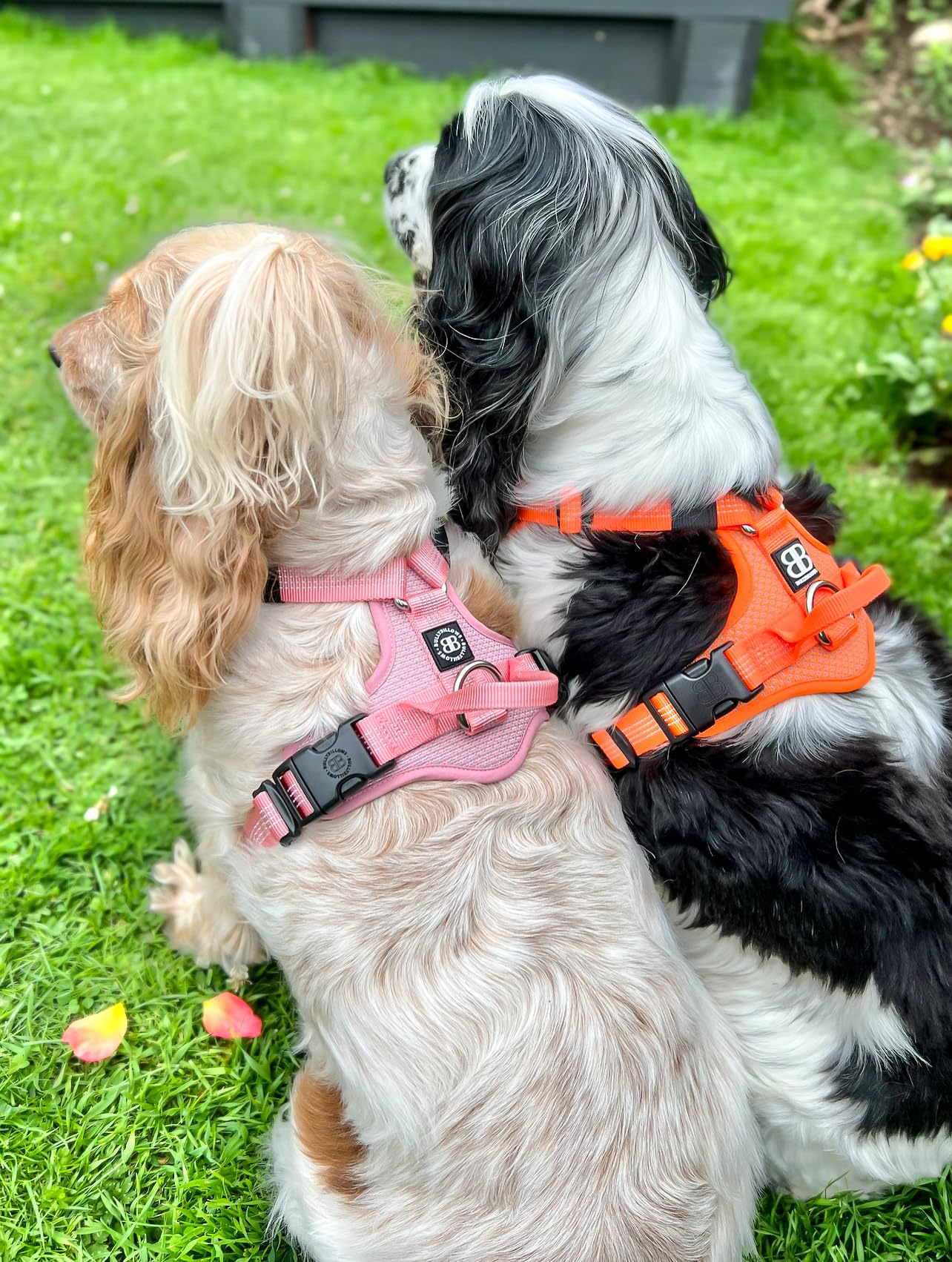 BullyBillows Arnés Activo Ligero para Perros con Asa | Arnés Premium con Forro Acolchado y Diseño Altamente Reflectante Apto para Todas Las Razas de Perros | Gris Metálico | Extra Pequeña