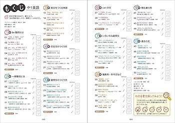 マドリガルです Rodeo – ZARA - Z1975 MID WAIST STRAIGHT LEG CUT OUT JEWEL JEANS