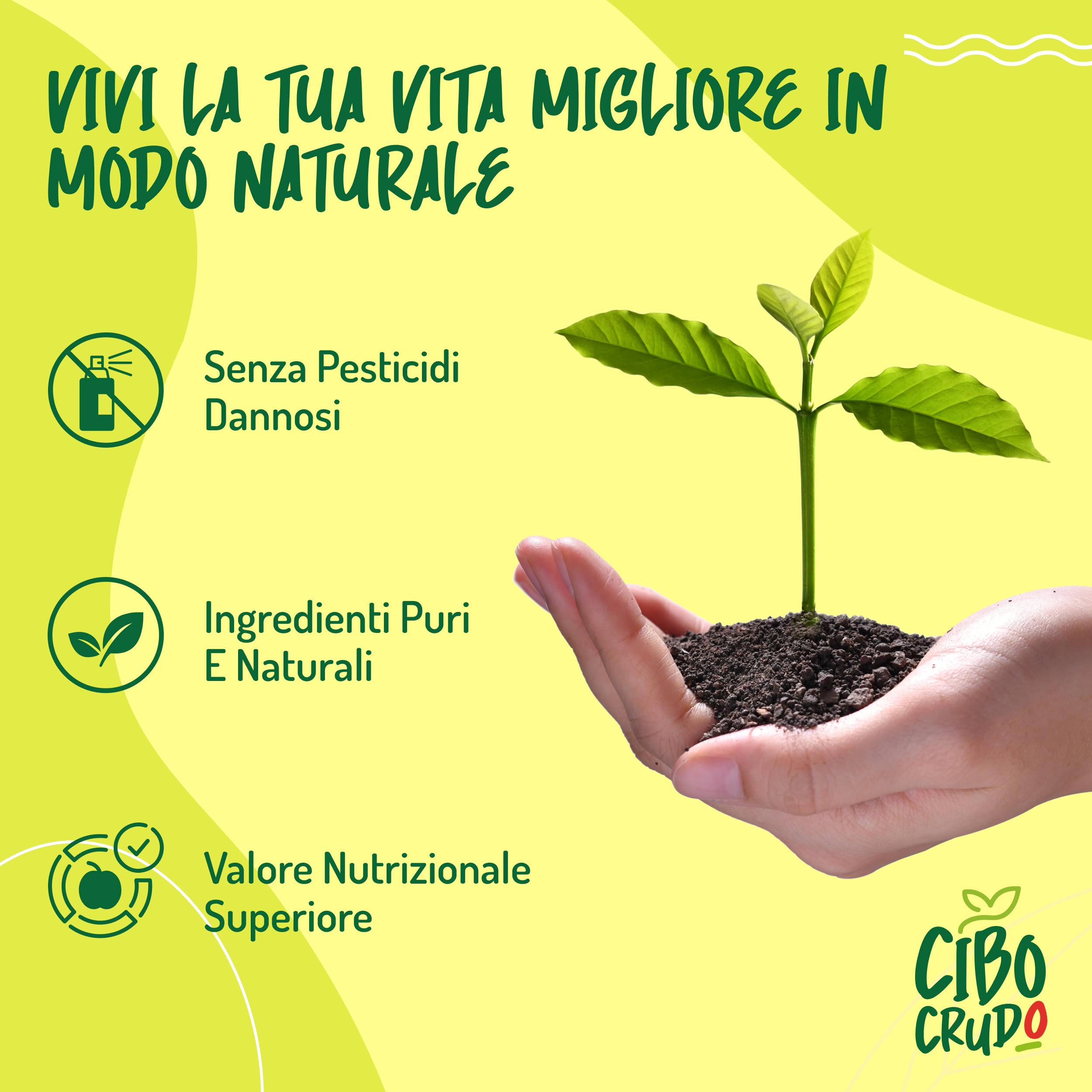 Olio di Avocado Alimentare e Biologico - 500ml. Olio Avocado Bio Spremuto a Freddo Puro al 100% e non Raffinato. Ideale per Cucinare Condire e Marinare. Avocado Oil.