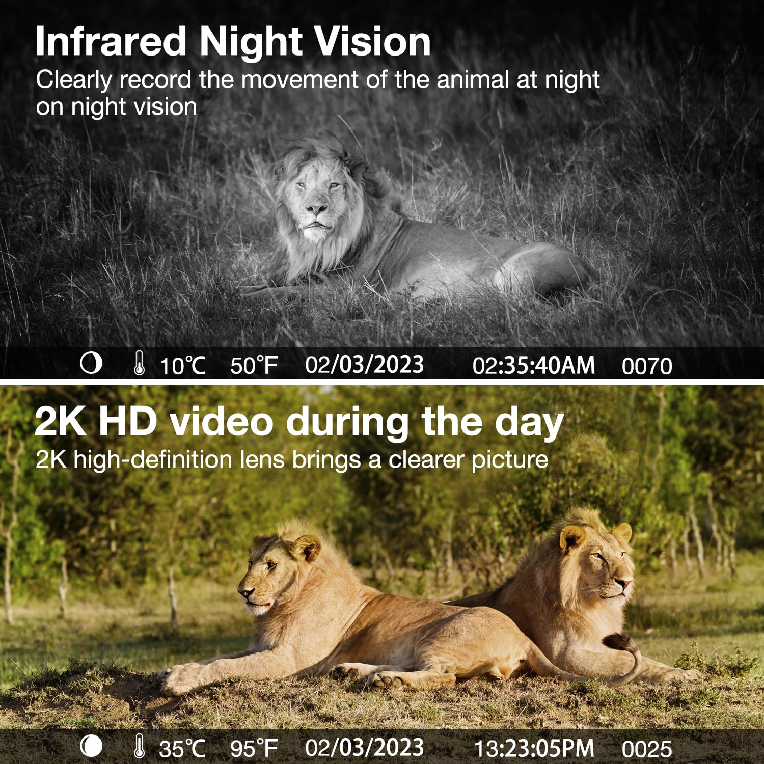 3G/4G LTE Cámara fototrampeo de Vigilancia Exterior con Batería Solar, 2K Visión Nocturna en Color, PIR Detección de Movimiento, IP66, Adecuado para Uso en Exteriores o en Lugares sin WiFi