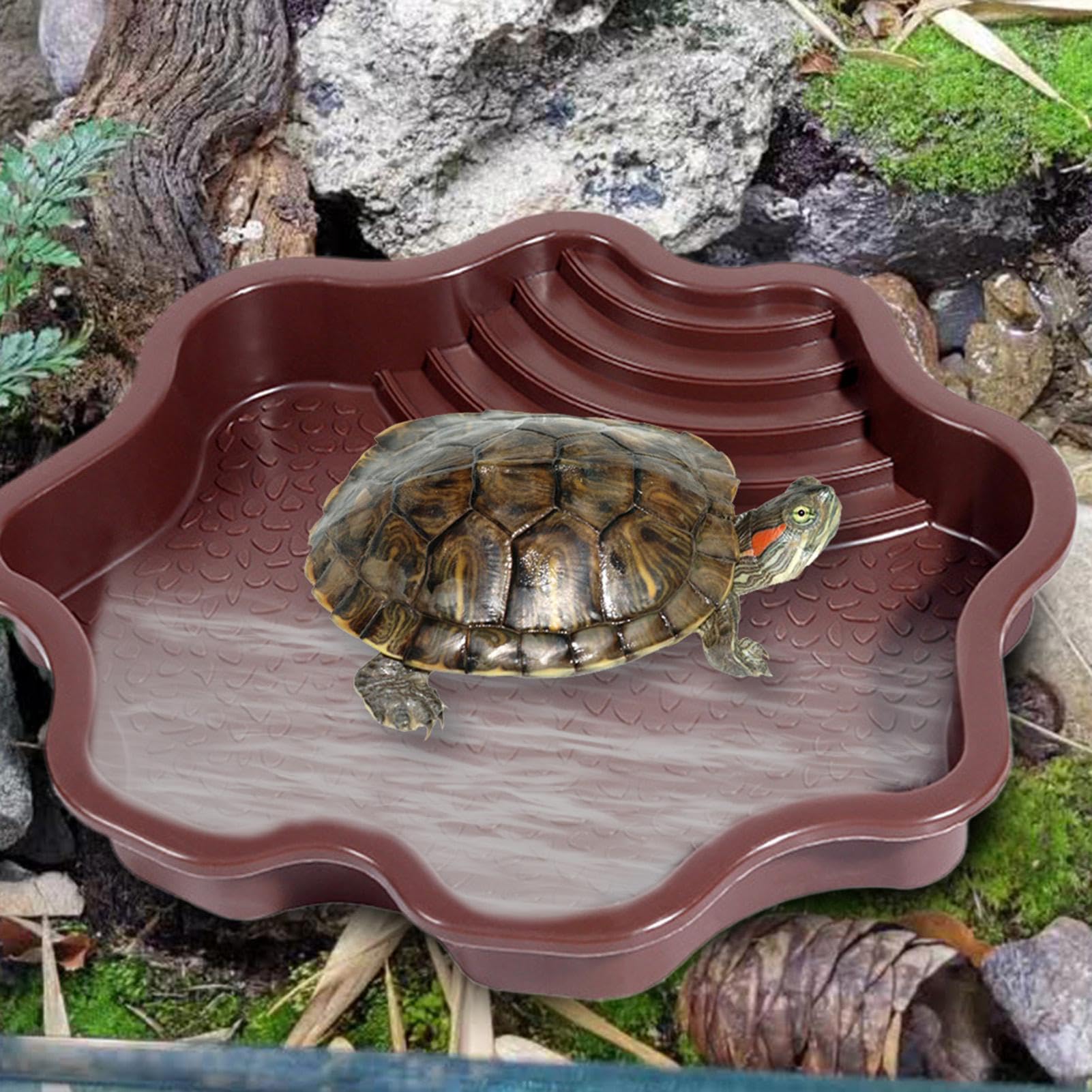 Piscine de baignade pour reptiles avec échelle | Accessoires habitat pour salamandre, dragon barbu, lézard