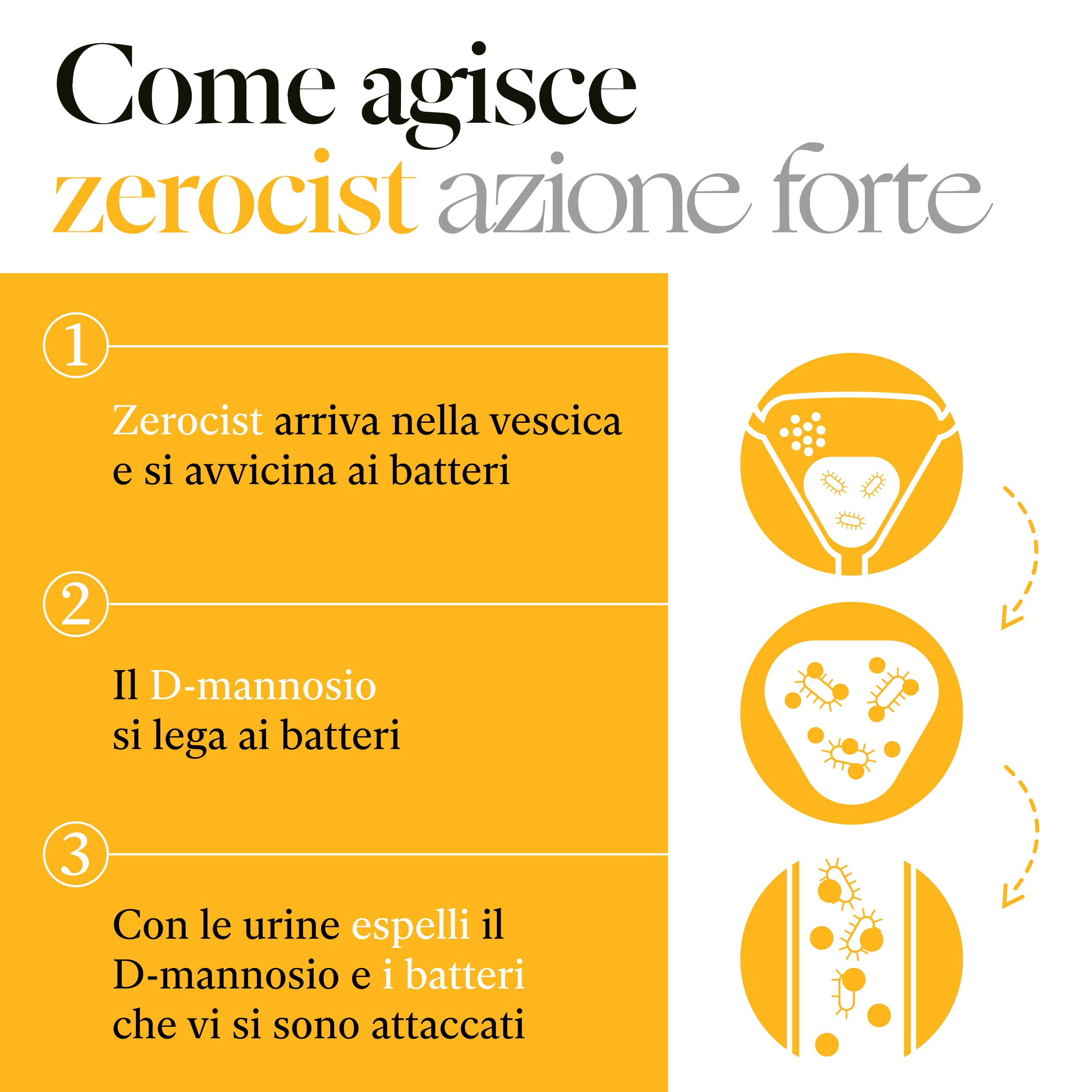 Cistite Cronica - d mannosio Puro - mirtillo rosso- Lactobacillus- per Infezioni Vie Urinarie, Dolori, Candida. con Salvia, Vitamine C, B2 e Zinco
