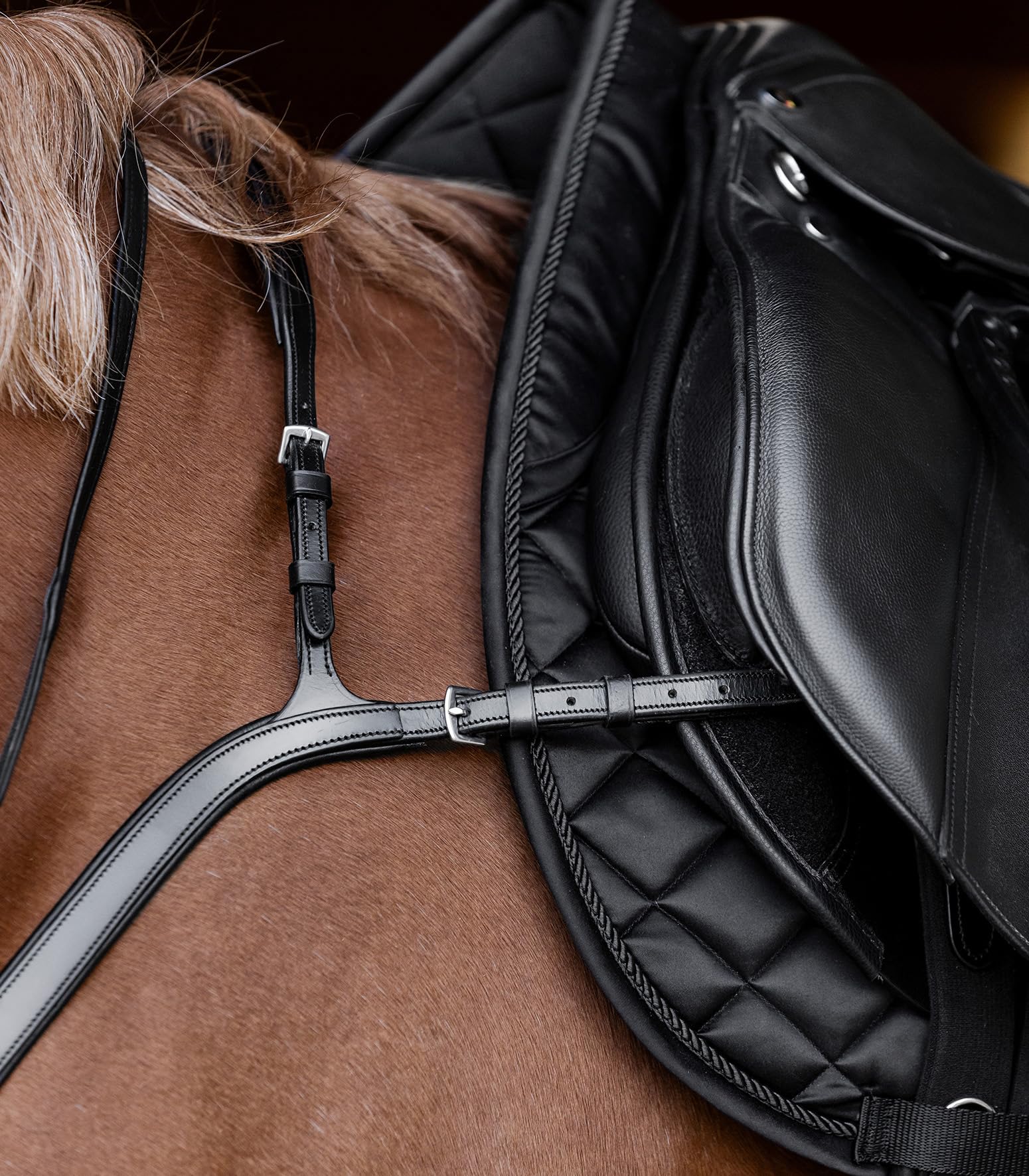 WALDHAUSEN Guaina anteriore X-Line con ponte lungo, marrone, WB