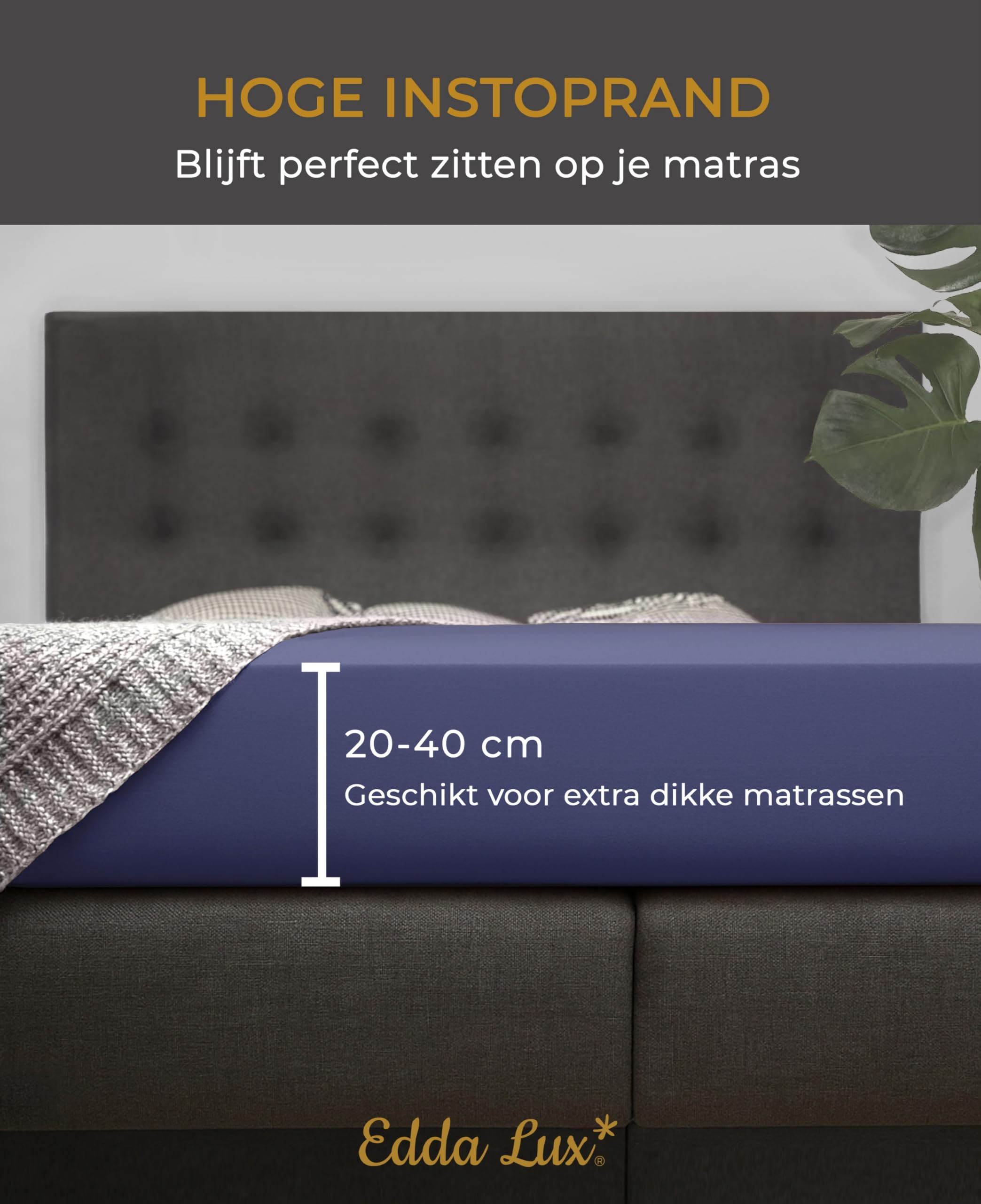 MOON - Luxe hoeslaken Jersey Stretch 230 g/m² voor waterbedden, boxspringbedden en conventionele matrassen (grafiet, 200x220-220x240