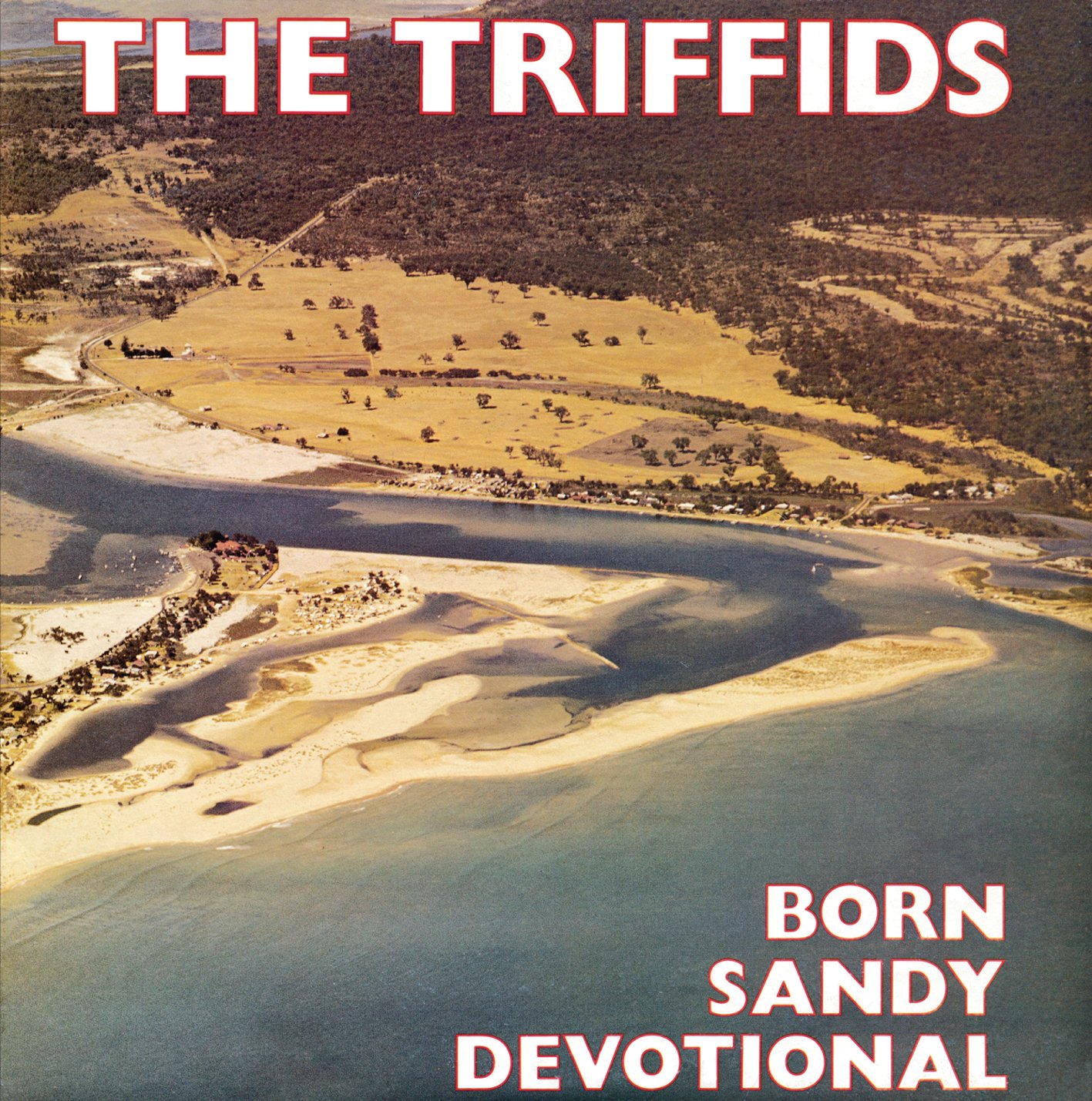 The Triffids