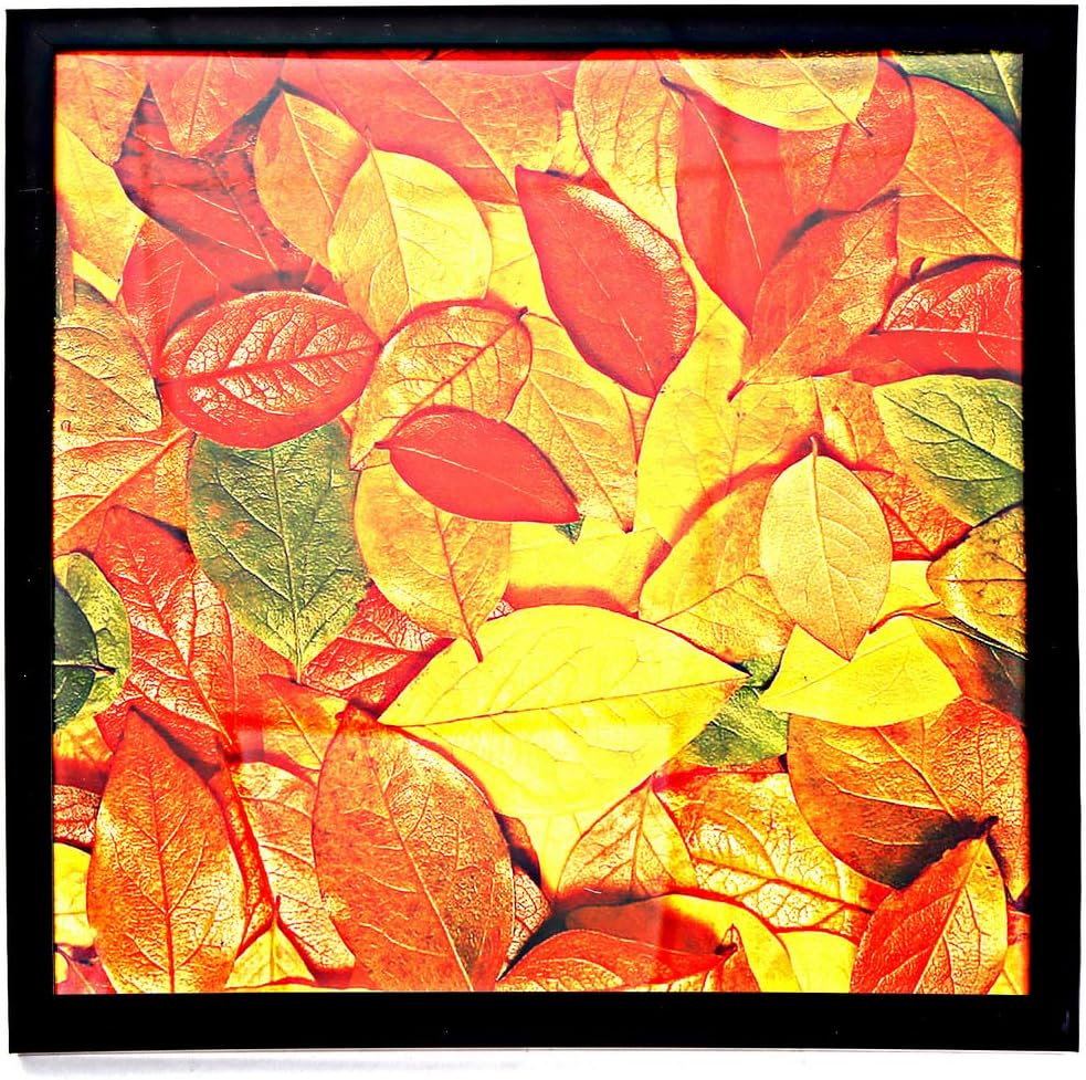 Medog 13x13 Picture Frame for Wall, Display Pictures 13x13 Square Record Album Frame, Wall Hanging Photo Frame, Black, 1 Pack