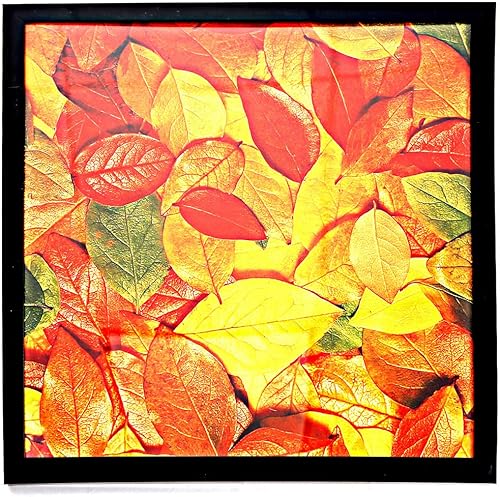 Vista 92 de Medog Marco de póster de 24 x 36 pulgadas, color negro, paquete de 2 marcos para fotos de 24 x 36 pulgadas, marco de galería de estudio, marco de 2P