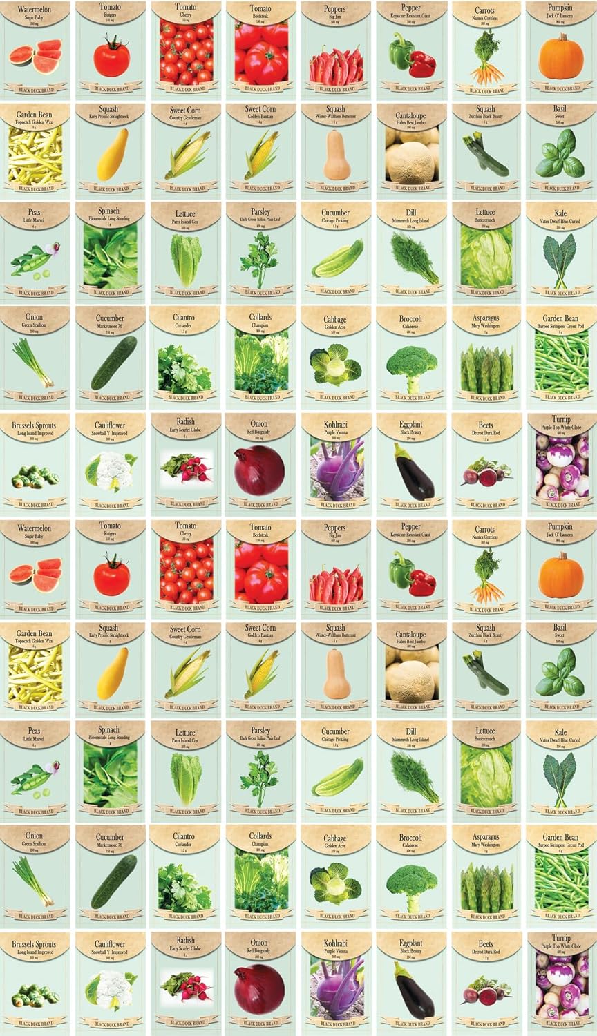 Black Duck Brand Set of 80 Vegetable and Herb Seeds - Semi Assorted - 100 Percent Non-GMO & Heirloom - Great for Starting a Garden! High Germination Rate! (80)