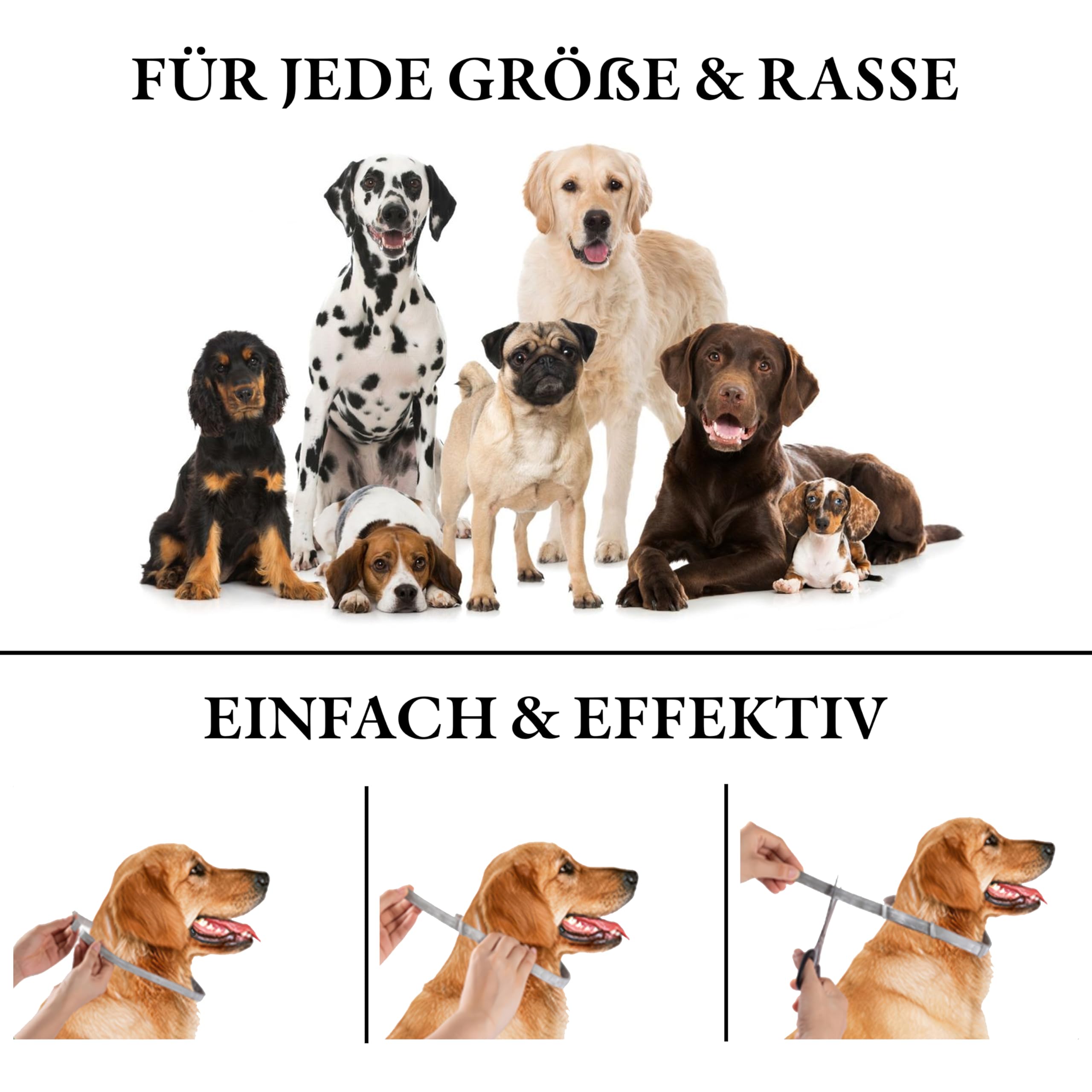 Monked | Natürliches Halsband für Hunde ohne Chemie | Verstellbar für kleine & große Tiere | Bis zu 8 Monate Schutz | Anti-Zecken & Flohschutz | Langanhaltender Zeckenschutz Hund [Blau]