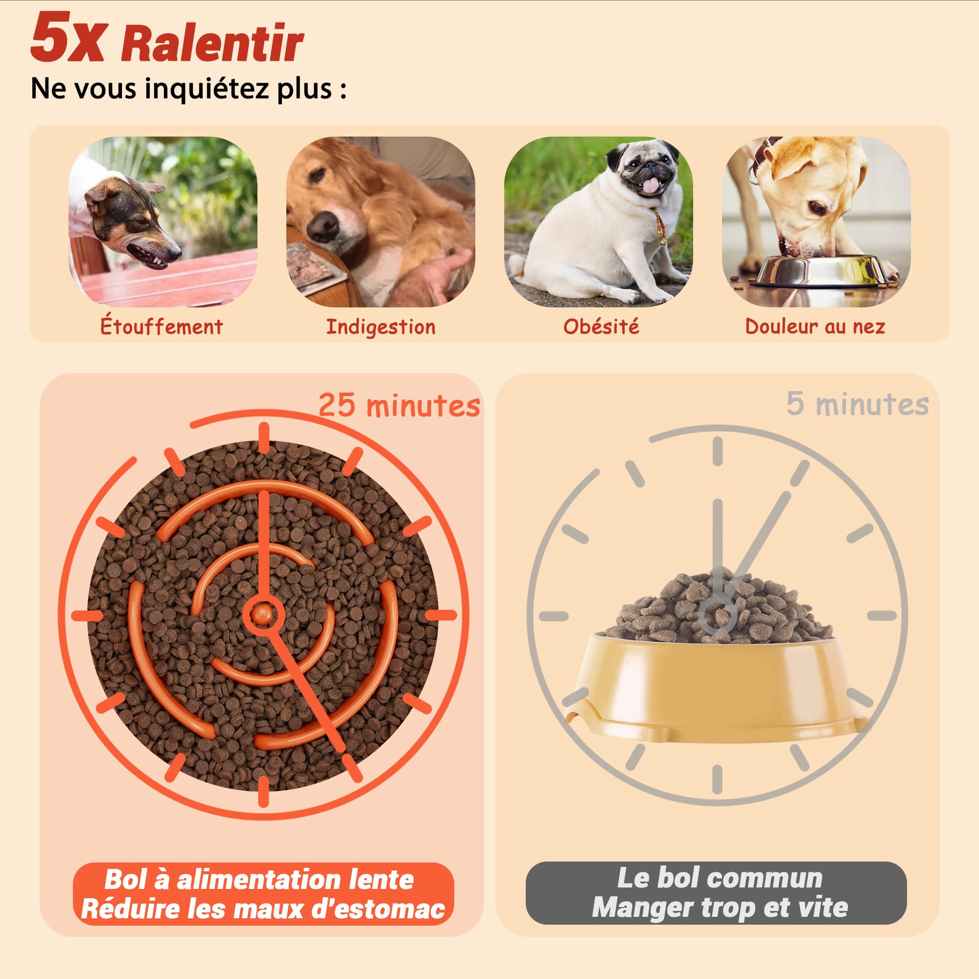 Gamelle Anti-Glouton Surélevée pour Chien - Bol en Céramique avec Support en Bambou - Idéale pour Chiens Moyens et Grands - Orange - 22,5 cm