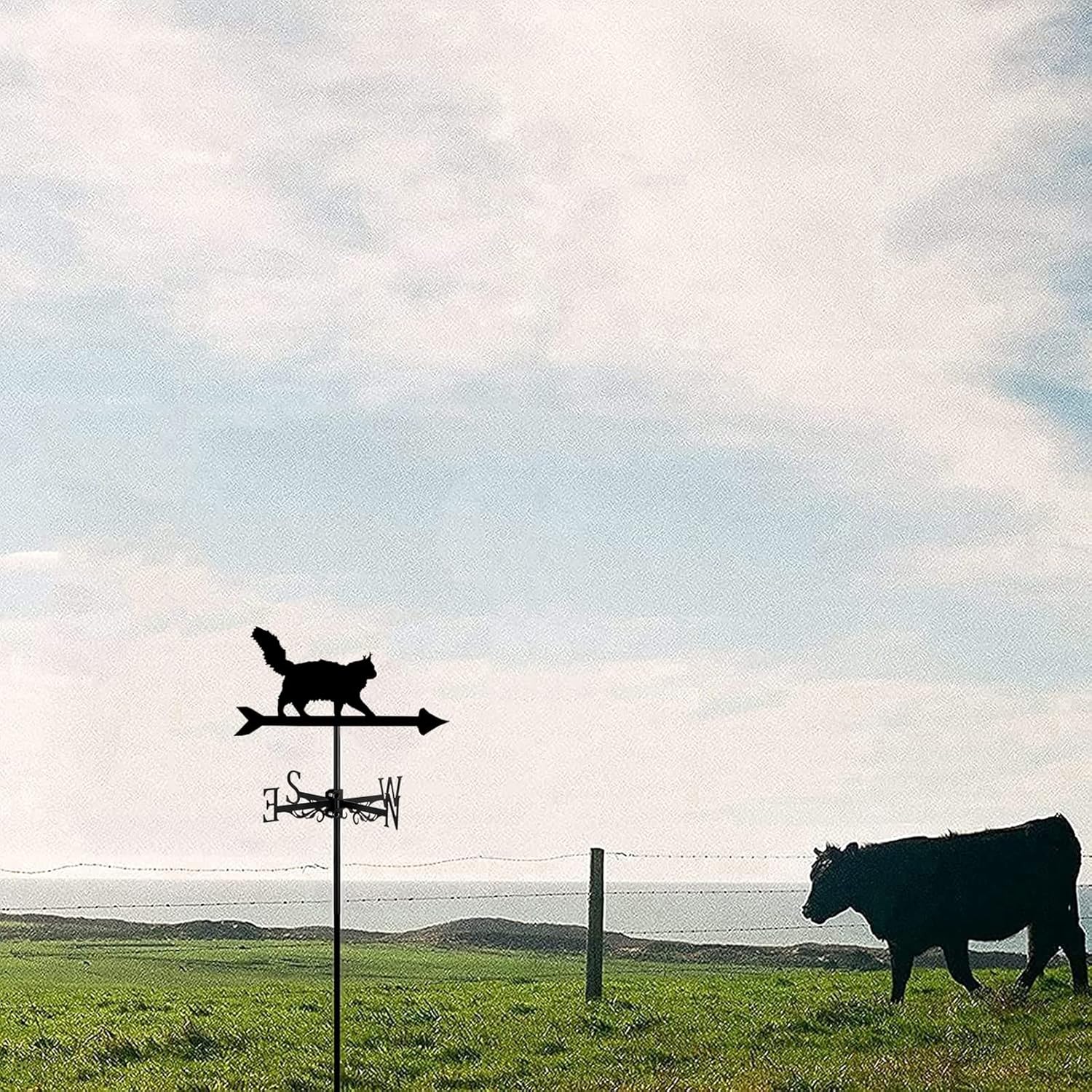 Weathervane with Farm Iron Cat Ornament Shaped Weather Vane Wind Direction Indicator, Yard Roofs Measuring Tools Outdoor Garden Decoration,Cat~d