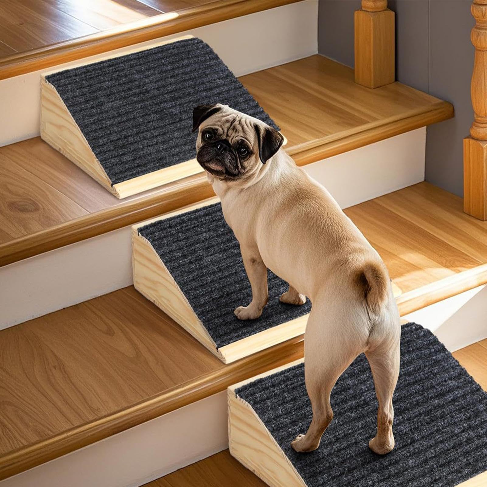 Loopplank Hond - Hondentrap - Loopplank - Trap - Zwart - 40cm