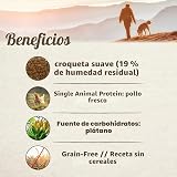 Ver la foto 7