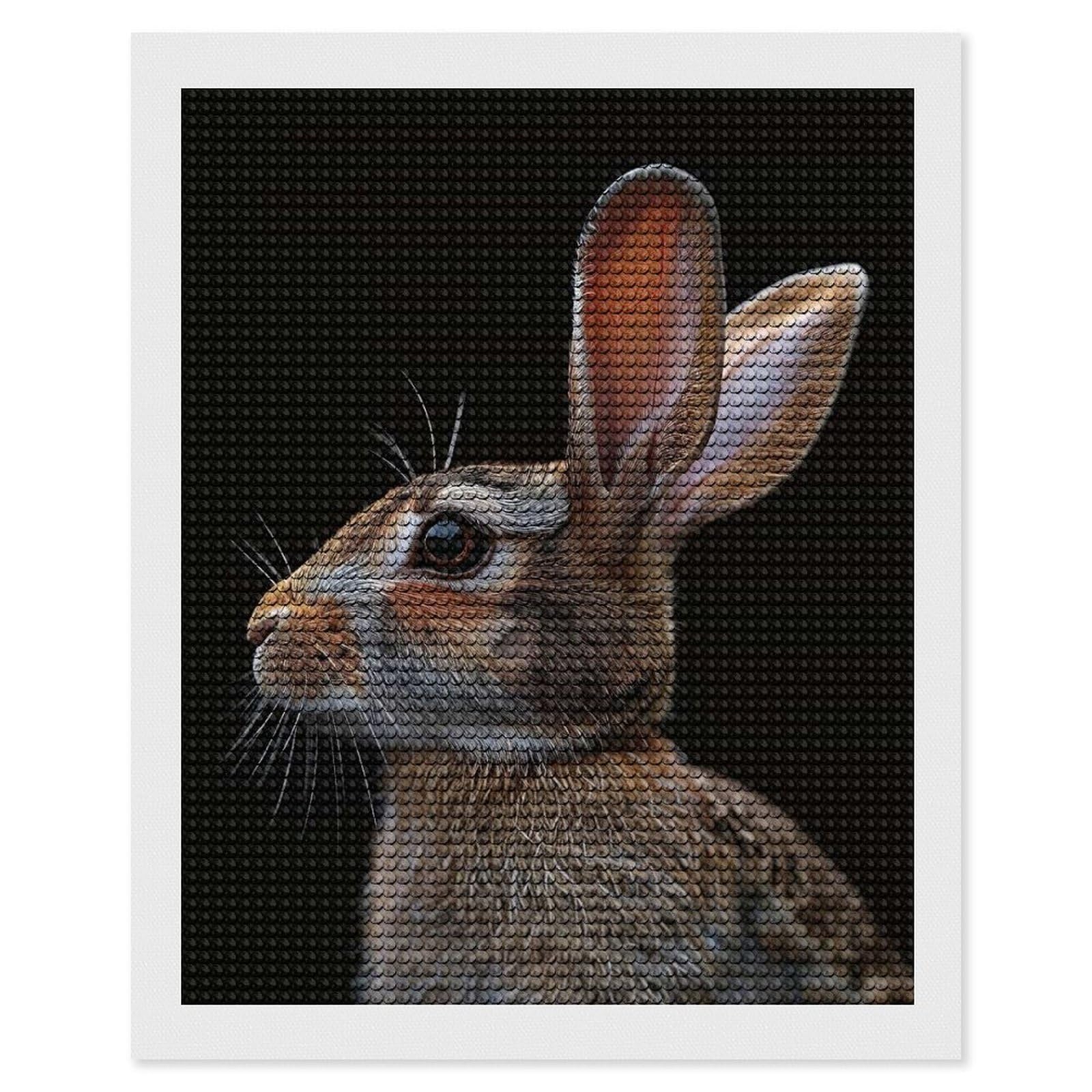 Junmoney Rabbit Diamond Painting Canvas Set 16"x20", Easy to Enjoy, Adhesive Canvas, Office Decor, Holiday Gift Idea, with Tool Kit