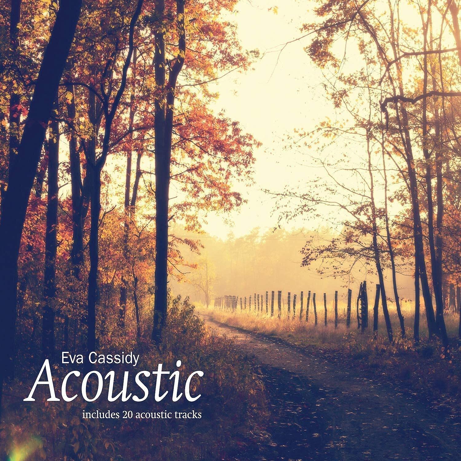 Acoustic (2LP 180g vinyl) [VINYL]