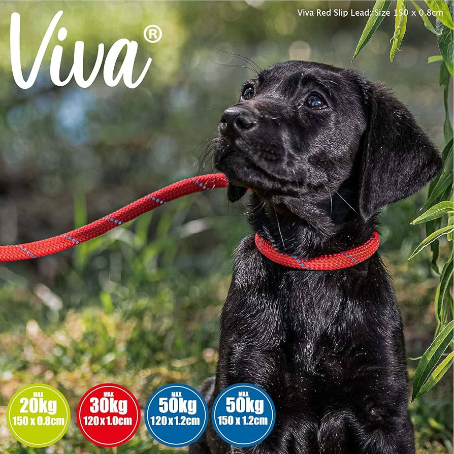 Ancol Deluxe Nylon Rope Slip Lead Brown 1.5mx12mm N/A