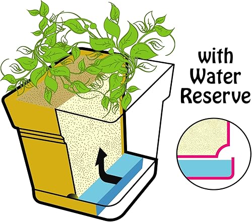 Miniatura 19 de Mintra - Macetas de plástico para plantas, maceta cuadrada para plantas de interior y exterior, macetas de jardín con platillos y agujeros de verde